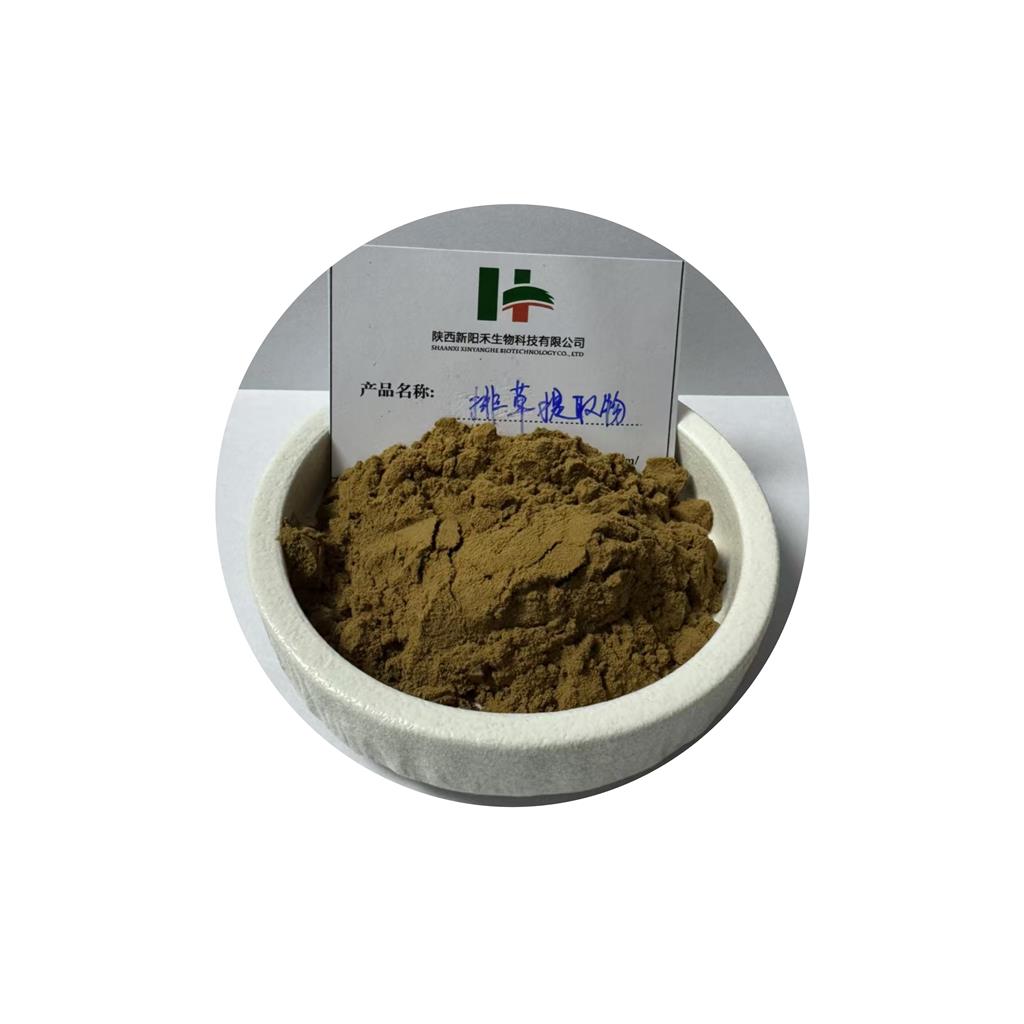 排草提取物    排草浓缩粉