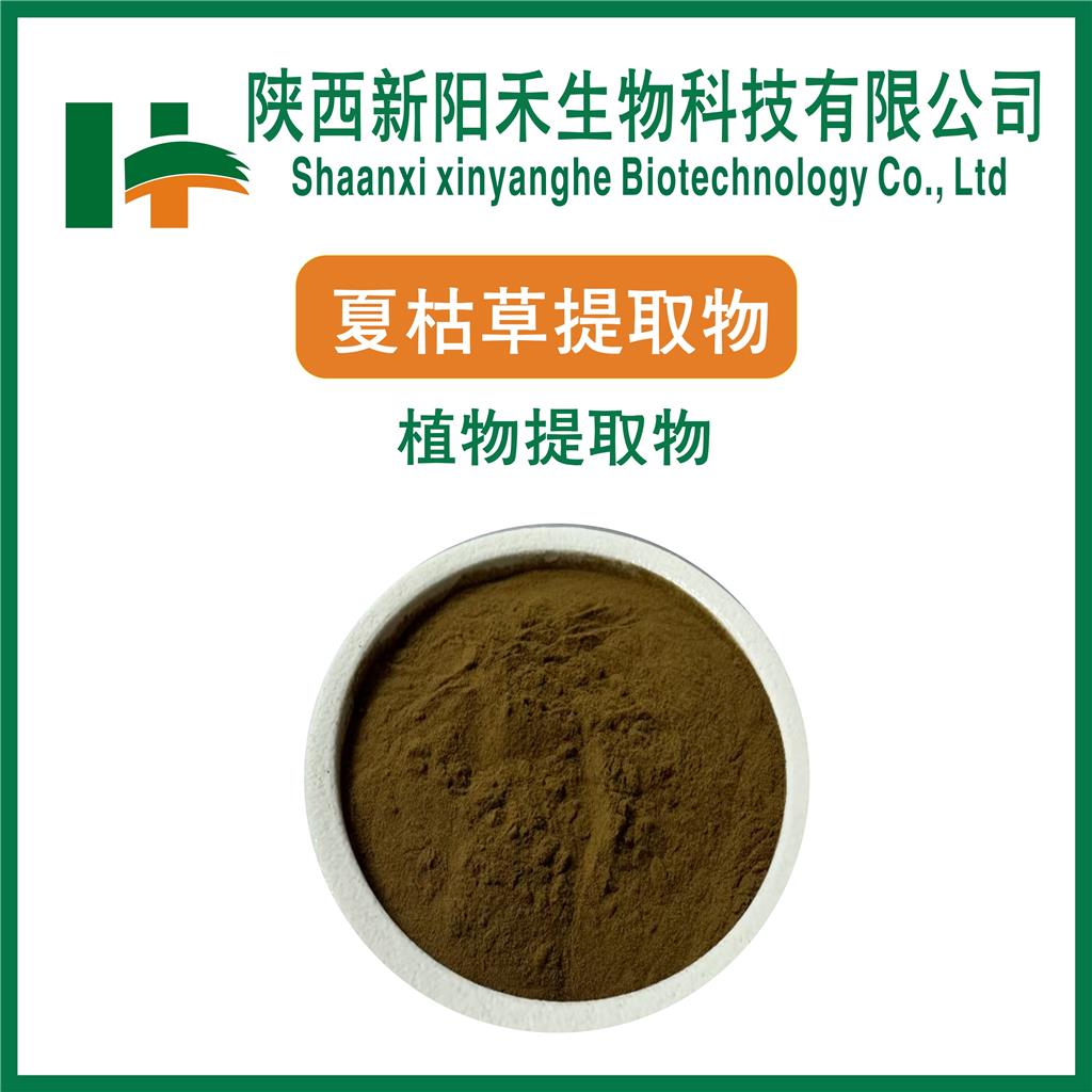夏枯草提取物     夏枯草浓缩粉