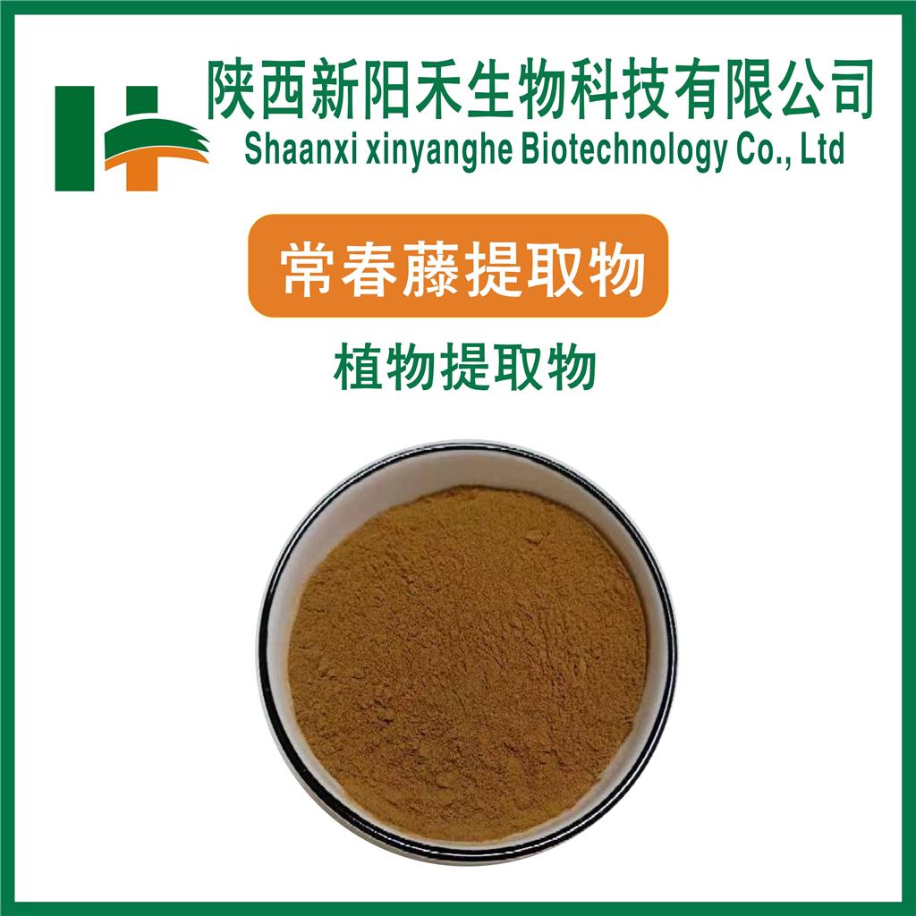 常春藤提取物   常春藤浓缩粉