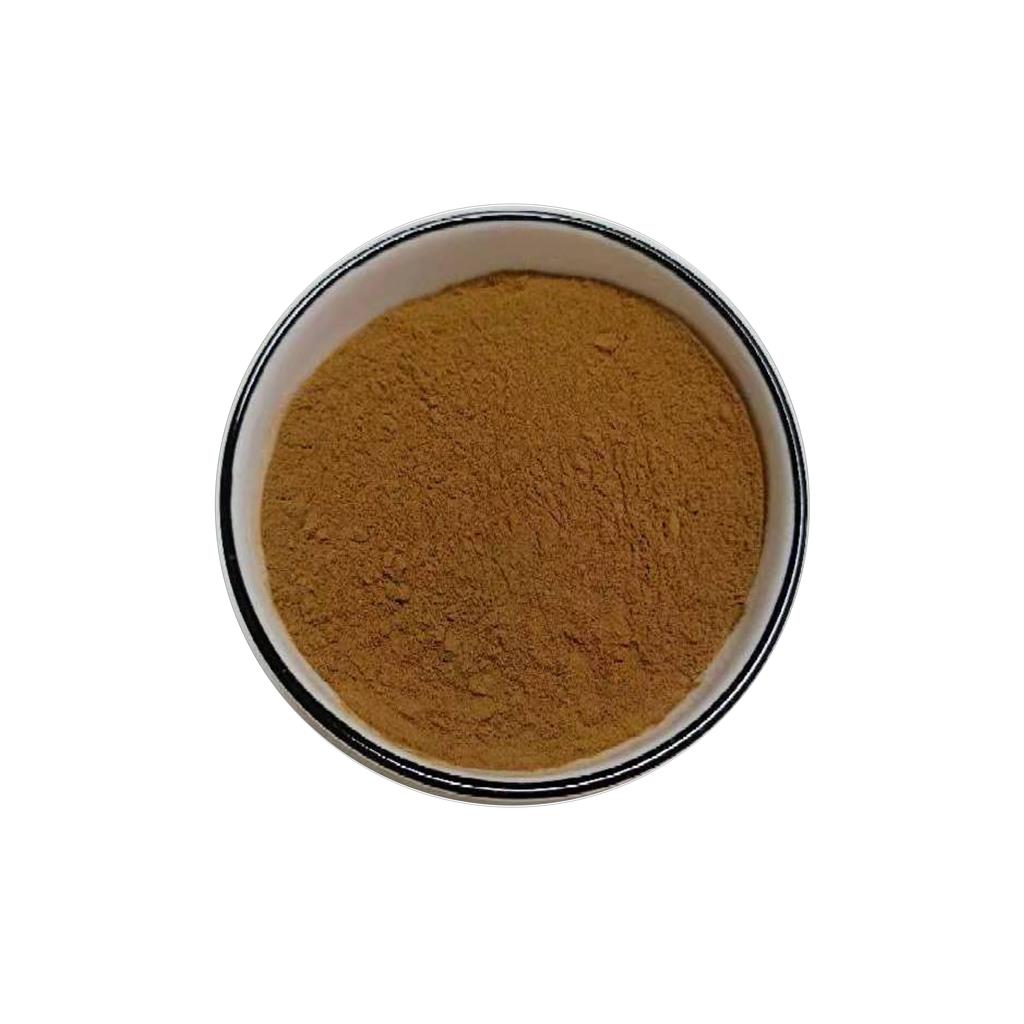 常春藤提取物   常春藤浓缩粉