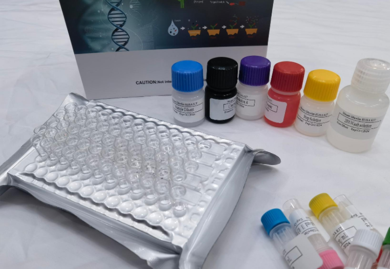 人分拣连接蛋白7（SNX7）ELISA试剂盒