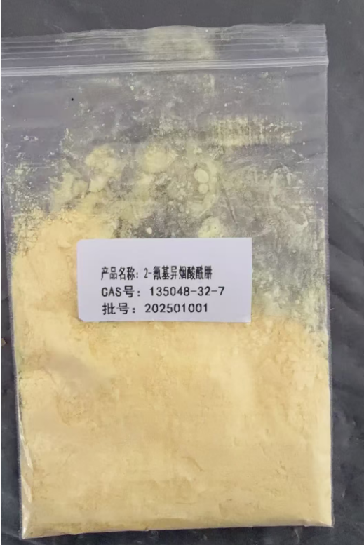 2-氰基异烟酰肼 135048-32-7 山东佰隆 96%