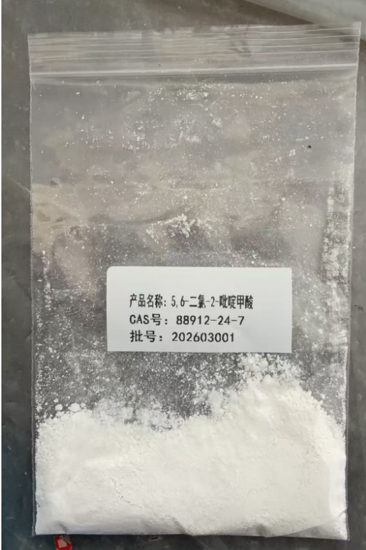 5,6-二氯-2-吡啶甲酸 88912-24-7 山东佰隆 98%