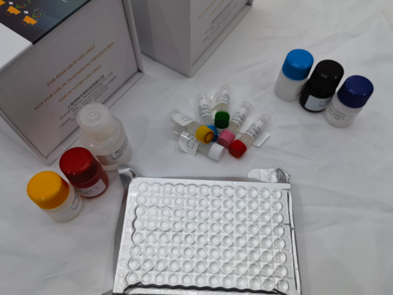 人连环蛋白β（β-catenin）ELISA试剂盒