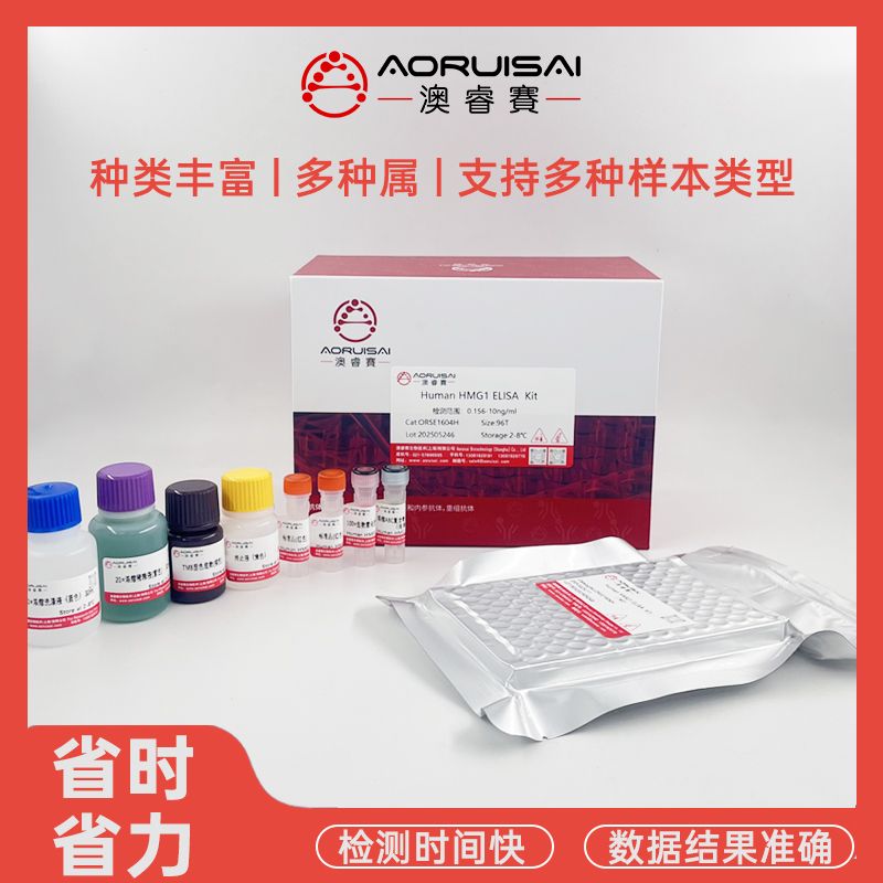 人辅酶Q10同源物B(COQ10B)ELISA试剂盒