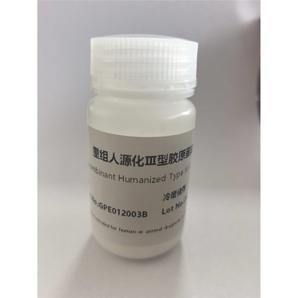 重组Ⅲ型人源化胶原蛋白，海绵状，水溶性胶原
