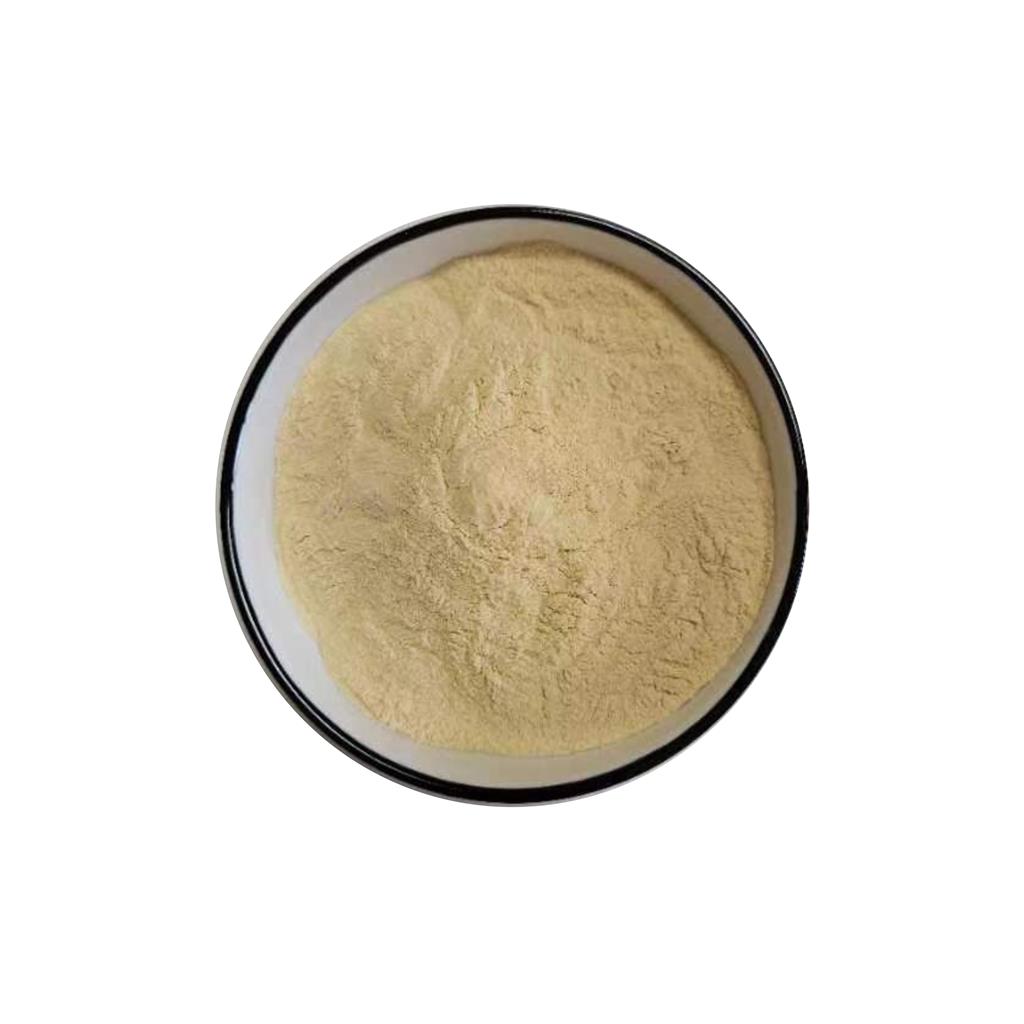 百合提取物     百合粉