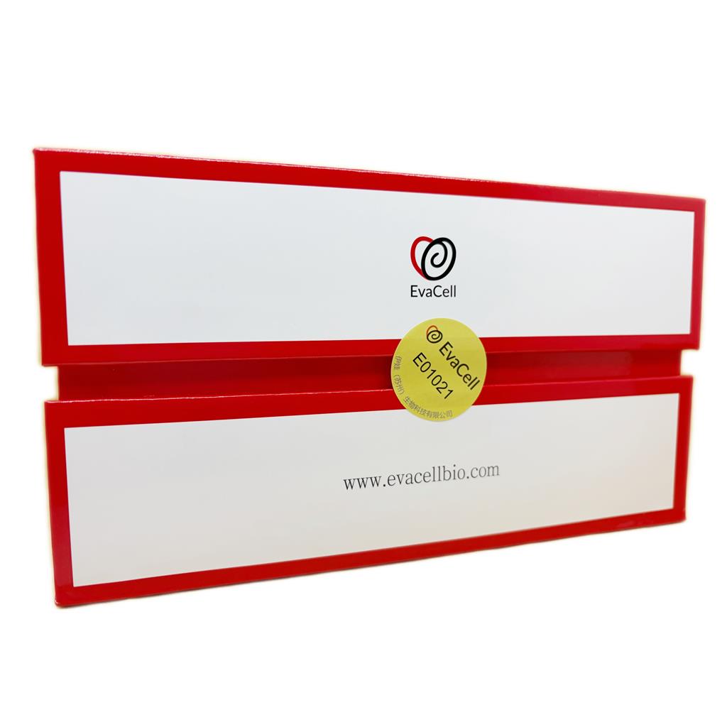 养好细胞就用EVA胎牛血清（澳洲）