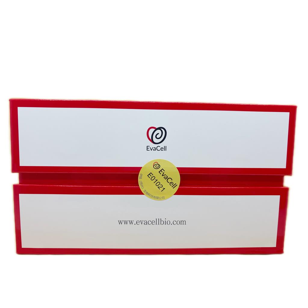 养好细胞就用EVA胎牛血清（澳洲）