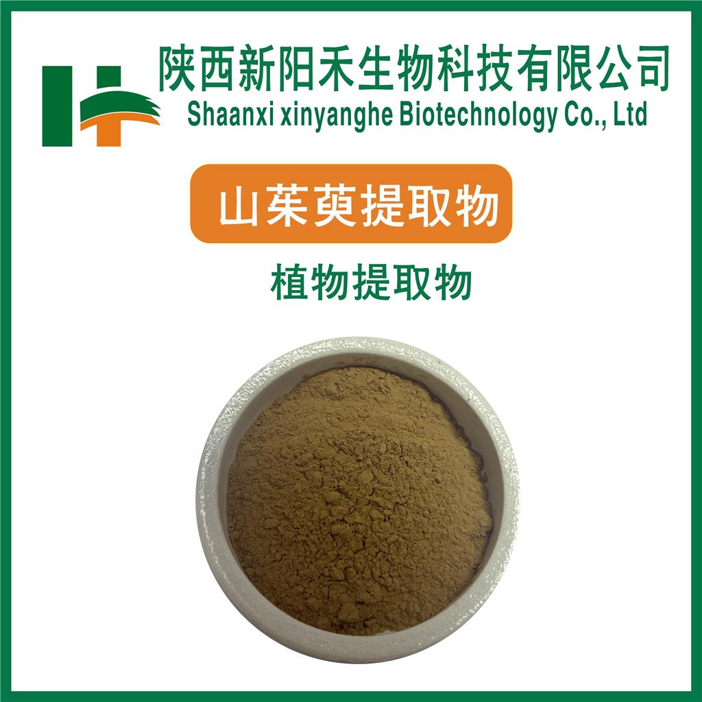 山茱萸提取物      茱萸肉提取物