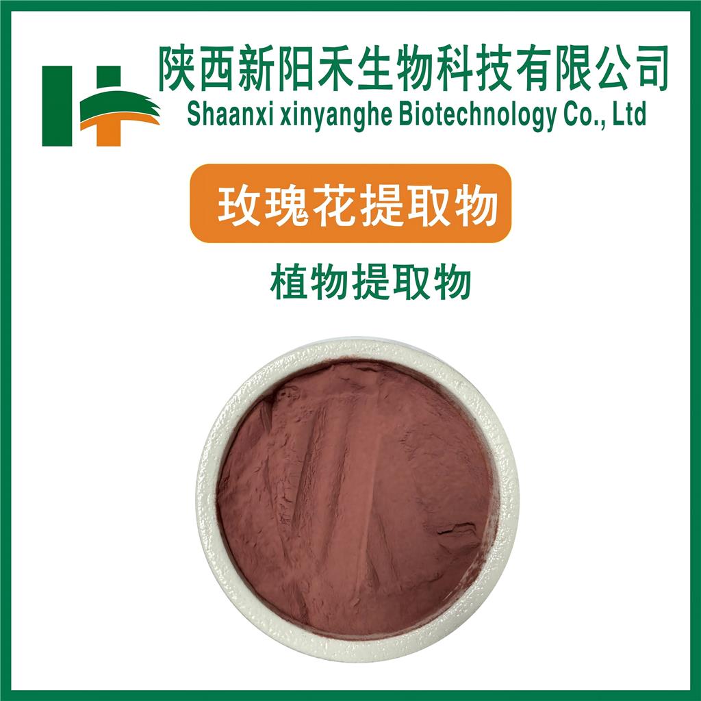 玫瑰花提取物          重瓣玫瑰花提取物