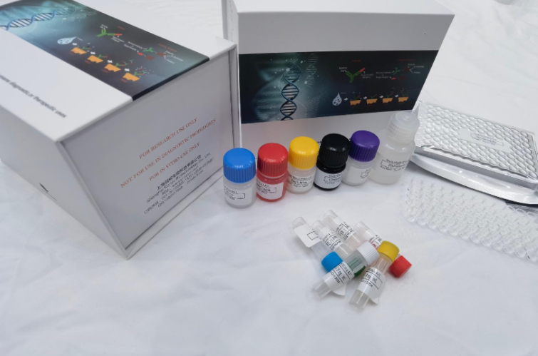 人β内啡肽受体（β-EPR）ELISA试剂盒 