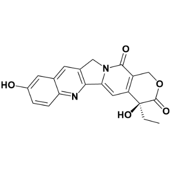 (S)-10-羟基喜树碱；19685-09-7