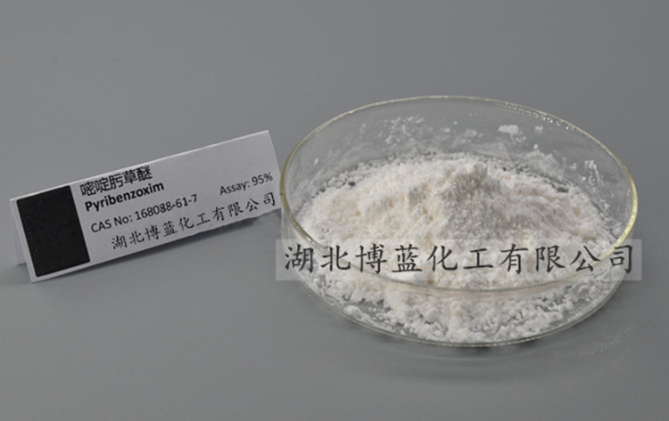 嘧啶肟草醚除草剂原药厂家