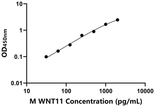 WNT11 ELISA KIT / 小鼠无翅型MMTV整合位点家族成员11 ELISA试剂盒
