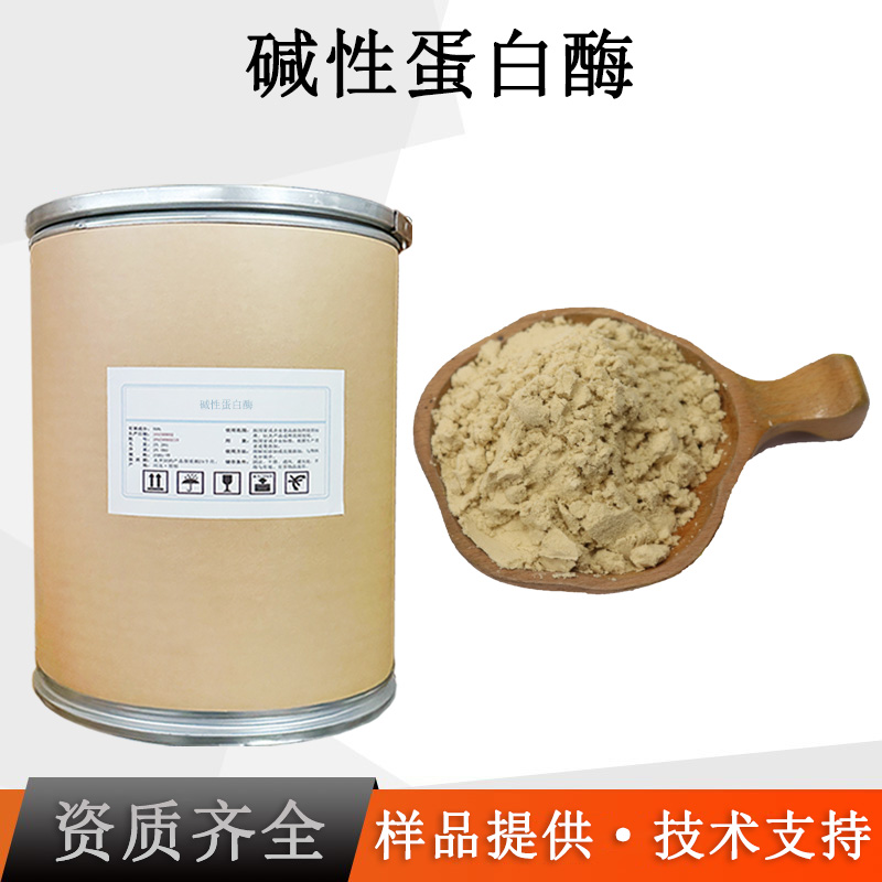 碱性蛋白酶厂家