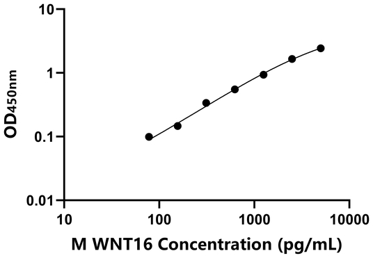WNT16 ELISA KIT / 小鼠无翅型MMTV整合位点家族成员16 ELISA试剂盒
