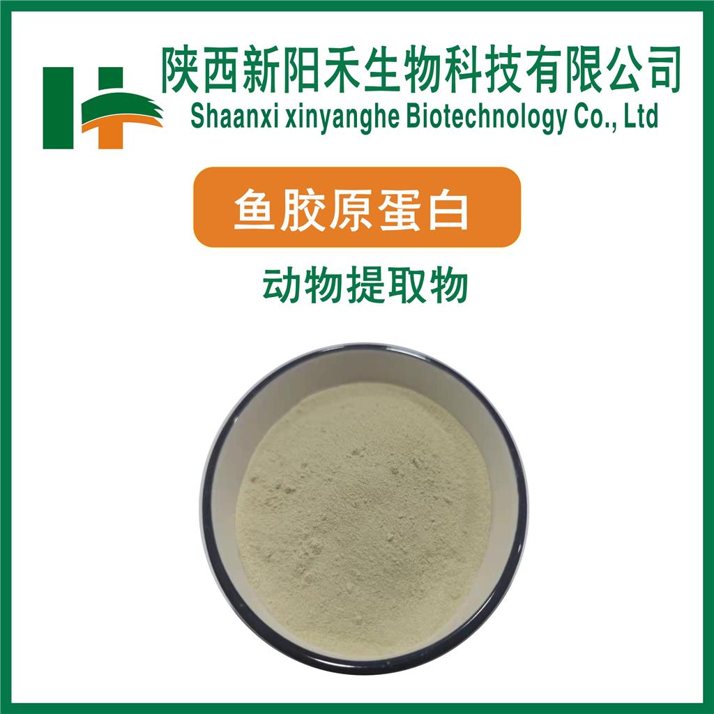鱼胶原蛋白    鱼胶原蛋白肽