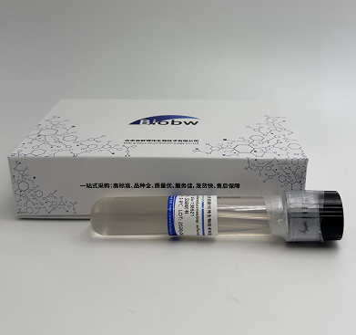 Gluconacetobacter Liquefaciens