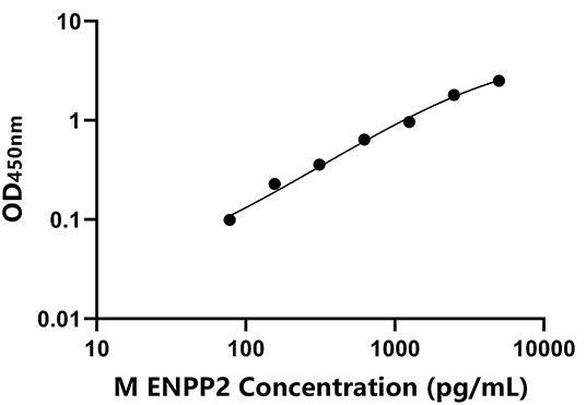 YJ37786.jpg YJ37786.jpg