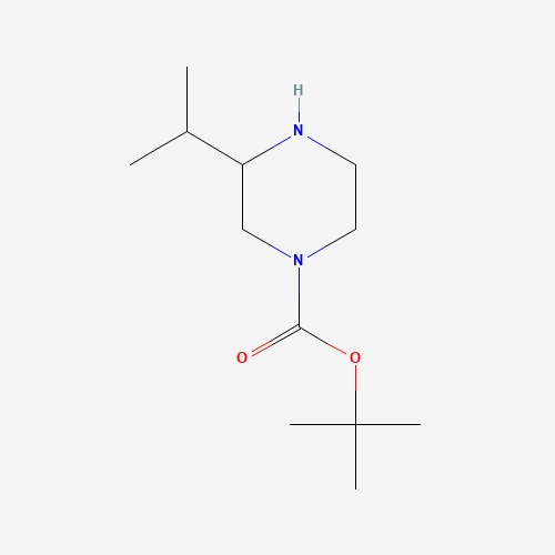 aladdin 阿拉丁 B732136 1-叔丁氧羰基-3-异丙基哌嗪 502649-32-3 ≥95%