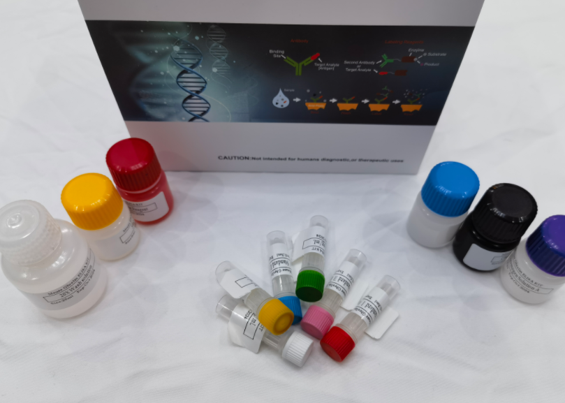 人神经穿透素1（NPTX-1）ELISA试剂盒