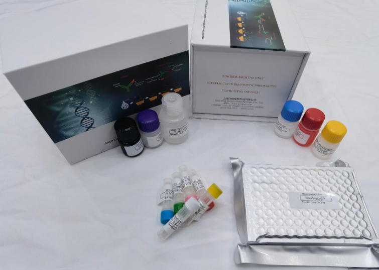 人牙龈卟啉单胞菌特异性IgG抗体（P.g-IgG）ELISA试剂盒