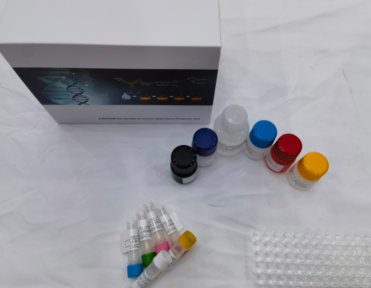 人FK506结合蛋白8（FKBP8）ELISA试剂盒 