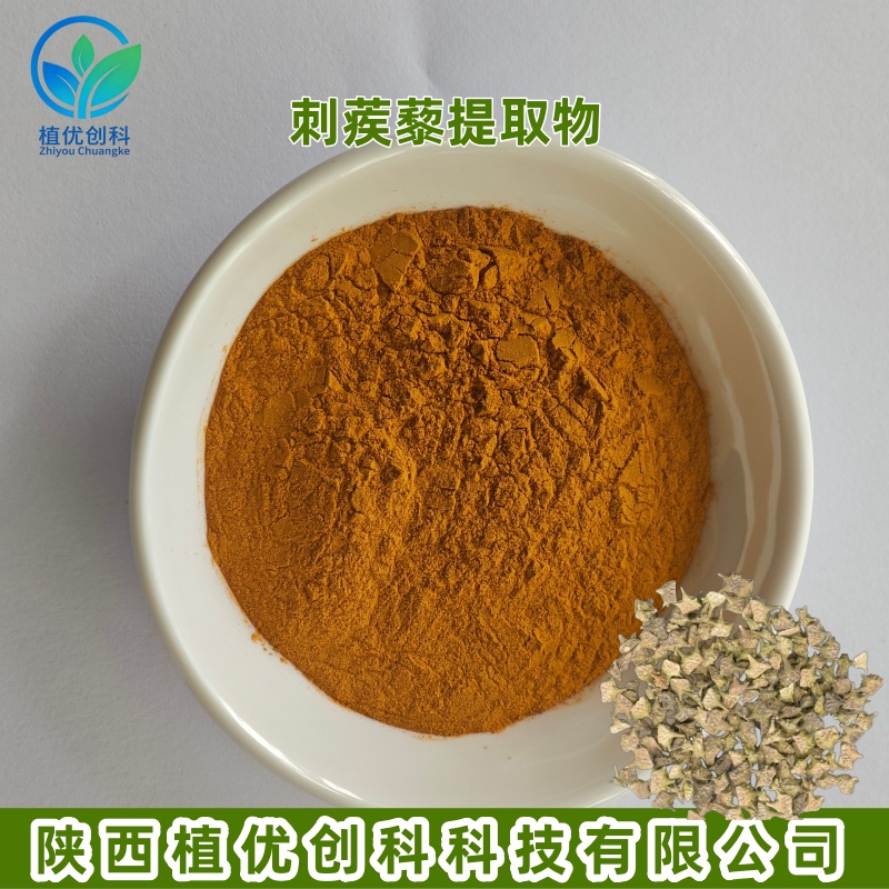 刺蒺藜提取物 刺蒺藜皂甙 陕西植优创科
