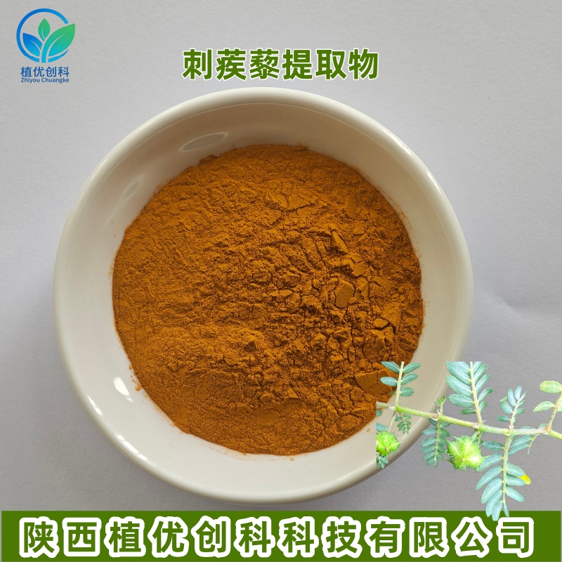 刺蒺藜提取物 刺蒺藜皂甙 陕西植优创科