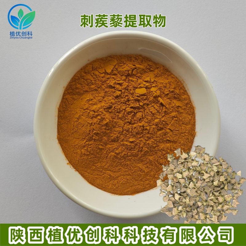 刺蒺藜提取物 刺蒺藜皂甙 陕西植优创科