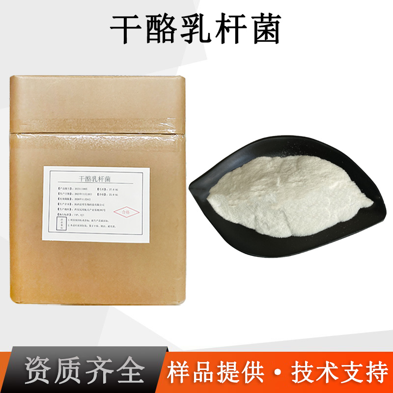 干酪乳杆菌厂家