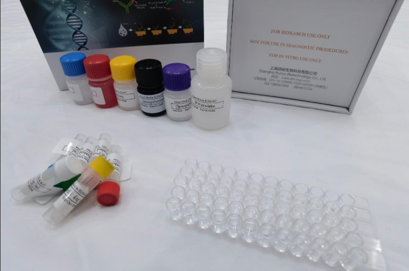 人二甲基苯胺单加氧酶3（FMO3）ELISA试剂盒