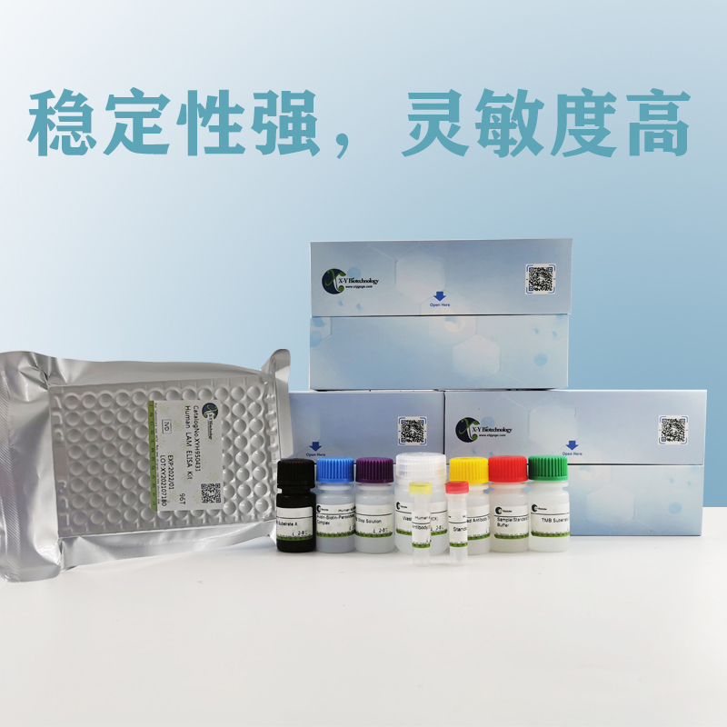 ?人TNC(Tenascin)ELISA试剂盒