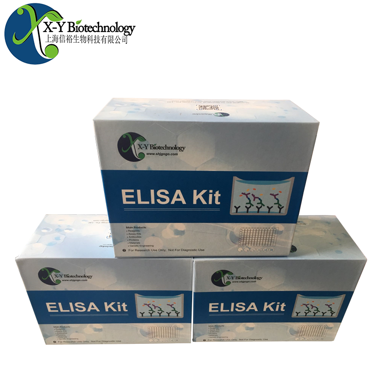 人TNFRSF10A(肿瘤坏死因子受体超家族成员10A)ELISA试剂盒