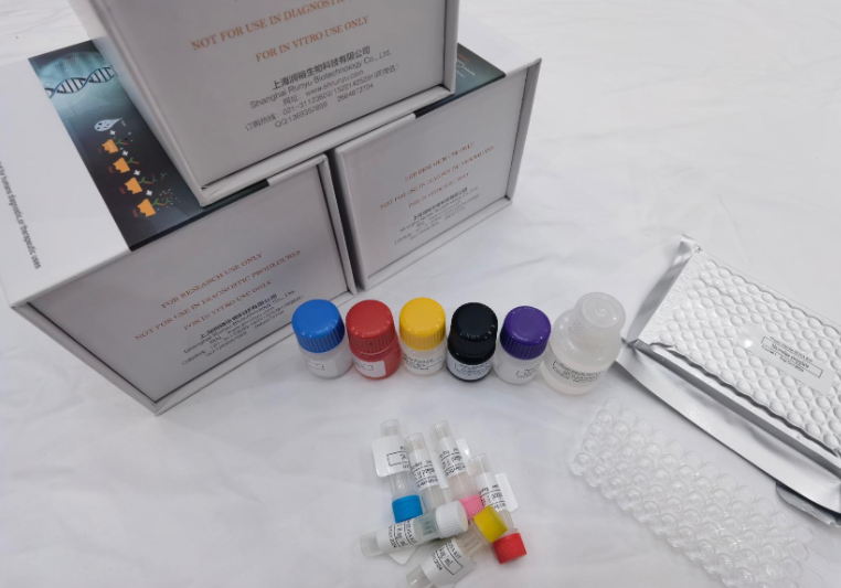 人抗着丝粒蛋白F抗体（ACA；CENP-F）ELISA试剂盒