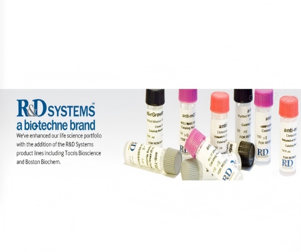 R&D全产品线代理