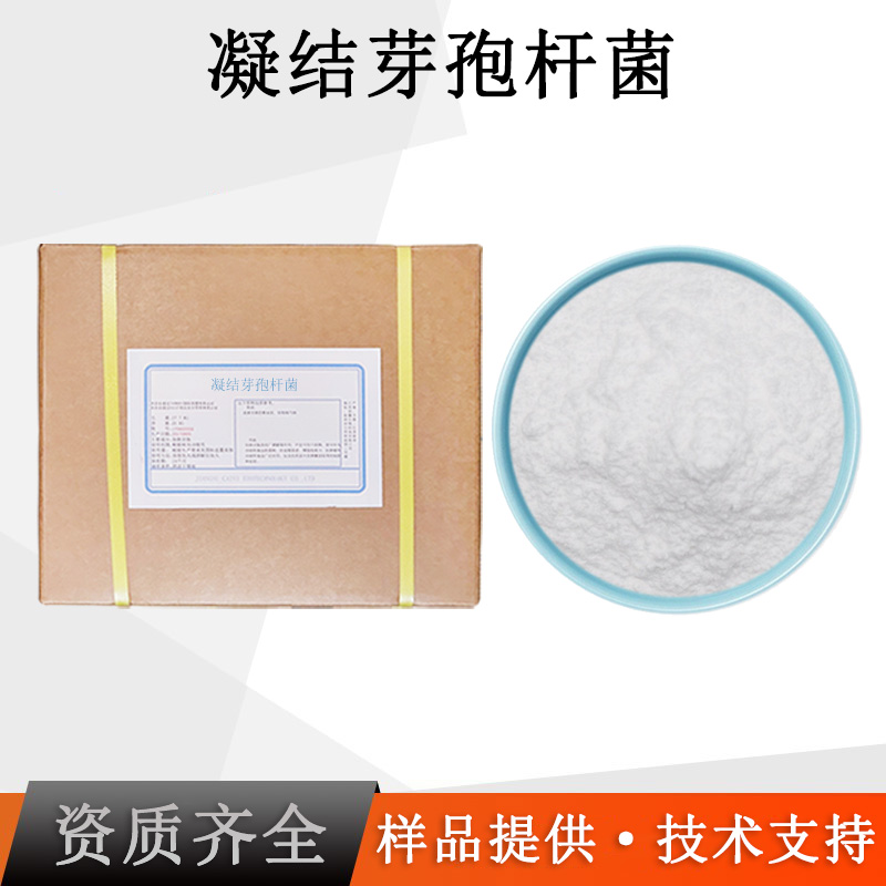 凝结芽孢杆菌厂家