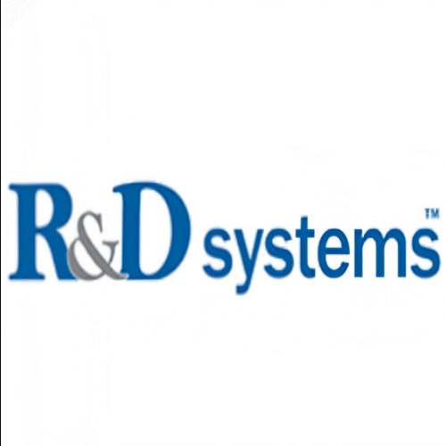 R&D 672-IT-025蛋白代理