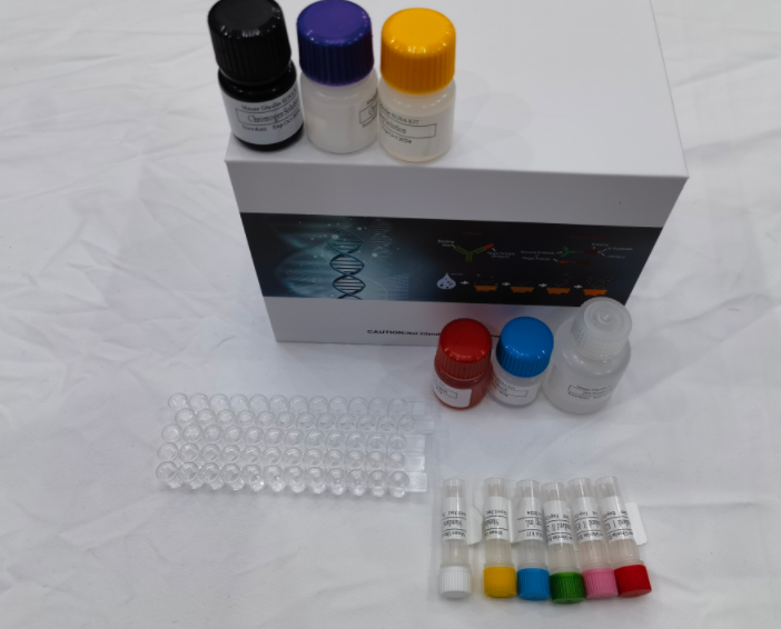 人VGF神经生长因子诱导蛋白2（VGF-2）ELISA试剂盒