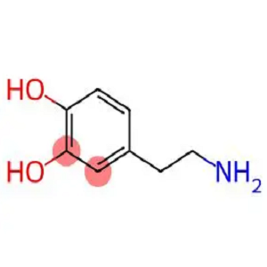 生物素-多巴胺，Biotin-Dopamine