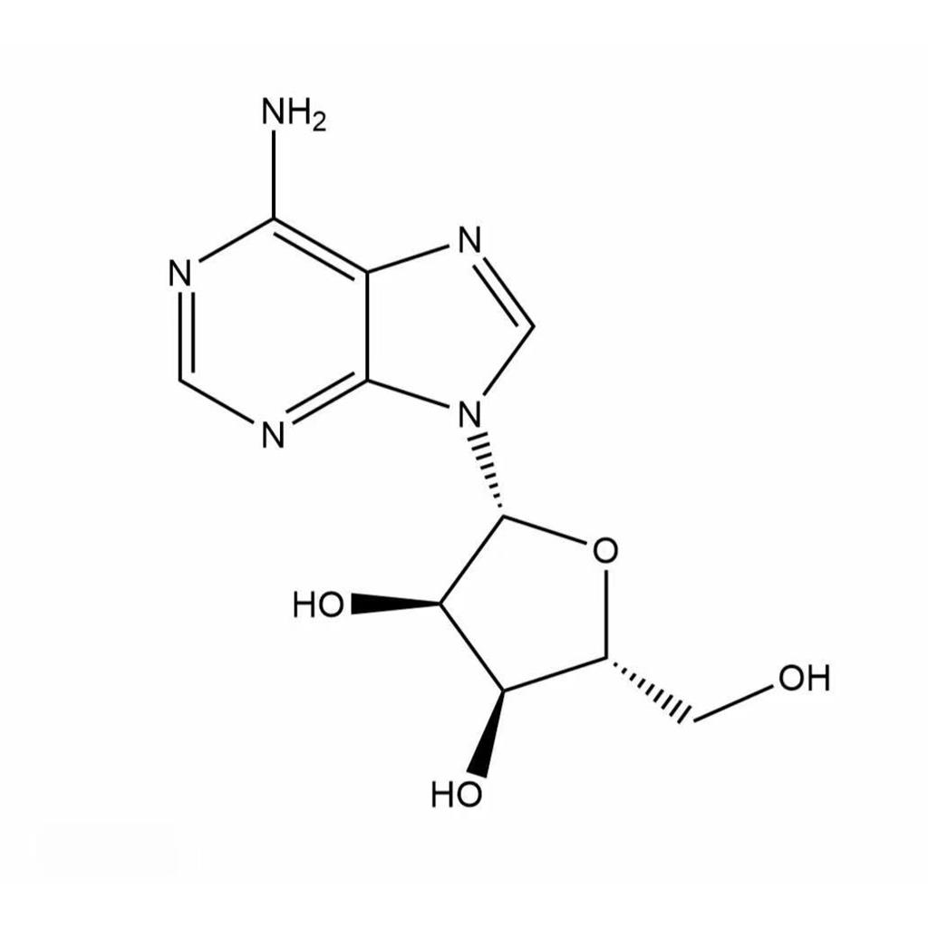 腺苷Adenosine 58-61-7 9-β-D-呋喃核糖基腺嘌呤
