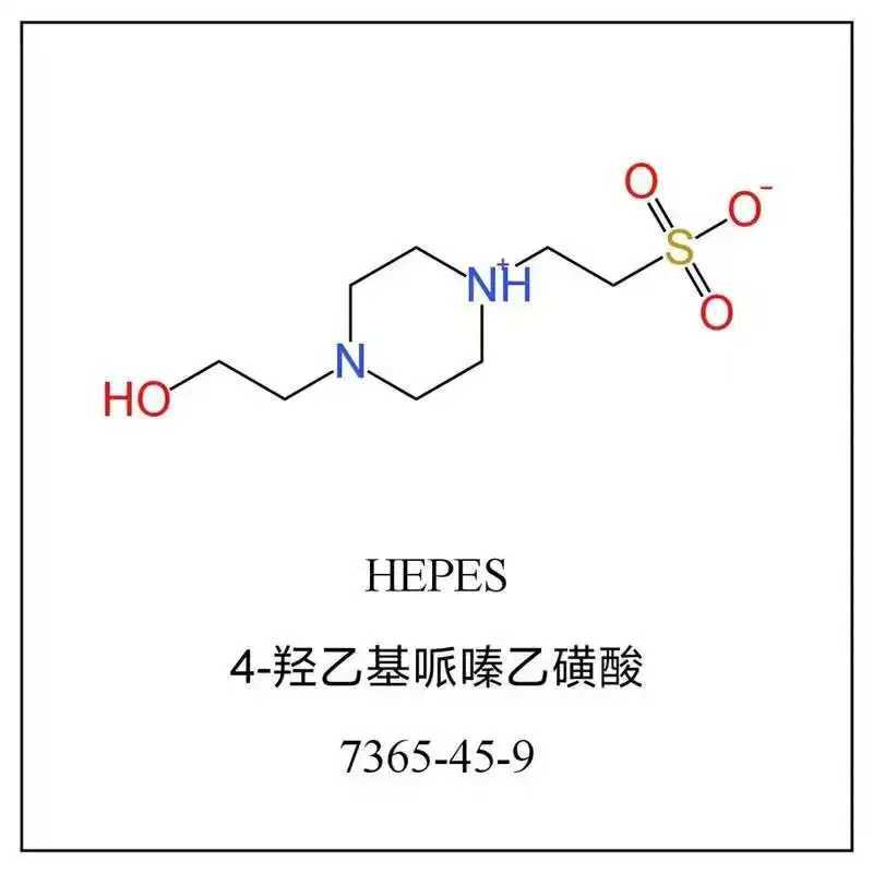 4-羟乙基哌嗪乙烷磺酸，HEPES，7365-45-9