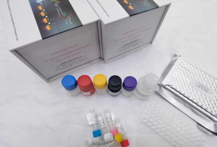 人正五聚蛋白2（PTX2）ELISA试剂盒