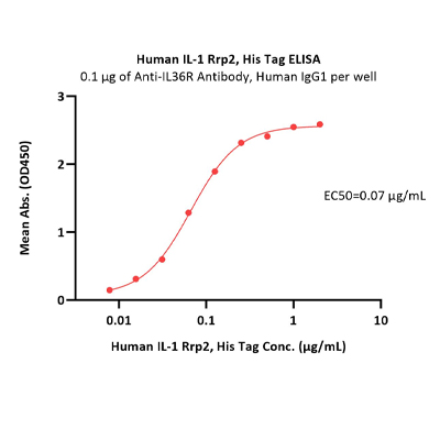 人IL-1 Rrp2 / IL-1 R6蛋白 His Tag