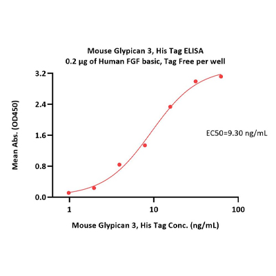 小鼠Glypican 3 / GPC3蛋白, His Tag
