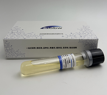 Lutibacter Maritimus