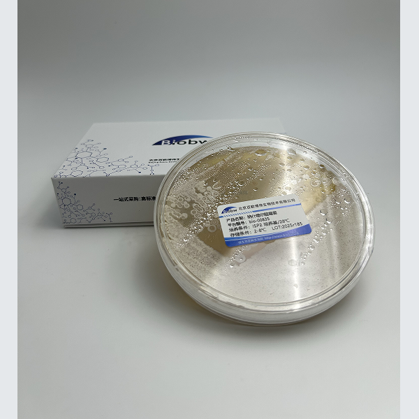 Lutibacter Maritimus