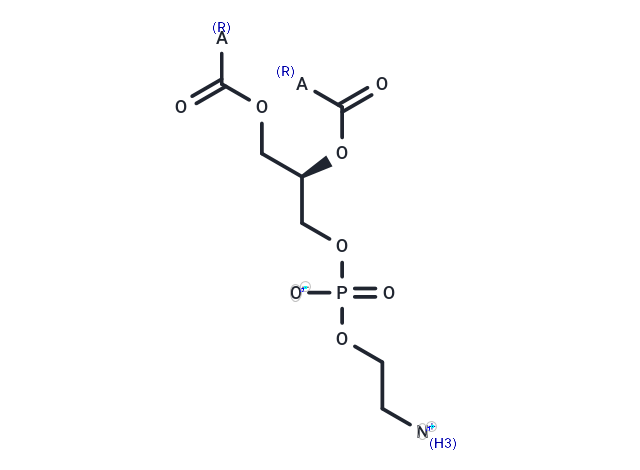 磷脂酰乙醇胺 (50 mg/mL in Chloroform)|T38142|TargetMol