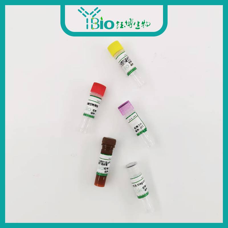 Isospora spp.等孢球虫通用染料法荧光定量PCR试剂盒 YB-70566DPR